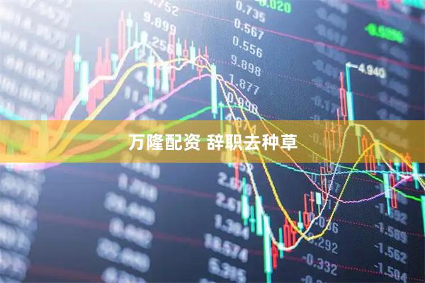 万隆配资 辞职去种草