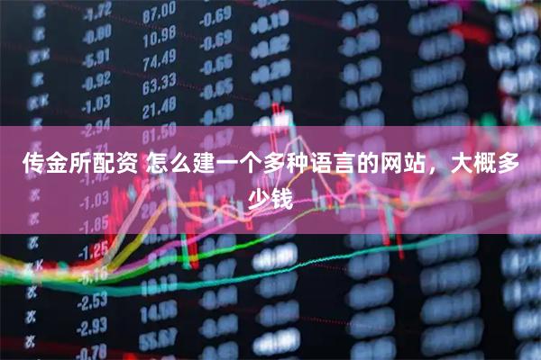 传金所配资 怎么建一个多种语言的网站，大概多少钱
