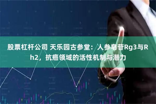 股票杠杆公司 天乐园古参堂：人参皂苷Rg3与Rh2，抗癌领域的活性机制与潜力