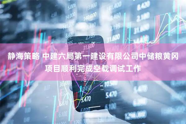 静海策略 中建六局第一建设有限公司中储粮黄冈项目顺利完成空载调试工作